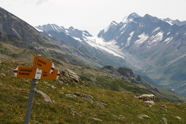 Signpost at 2560m en route to the Lötschenpasshütte