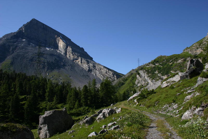 The path around Arvenwald