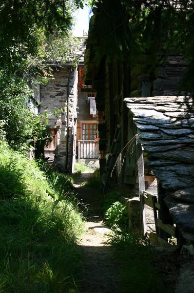 The path takes you round the back of some typical Wallis houses