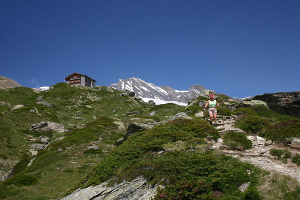 The path down to the bridge over the Langgletscher from Anenhütte