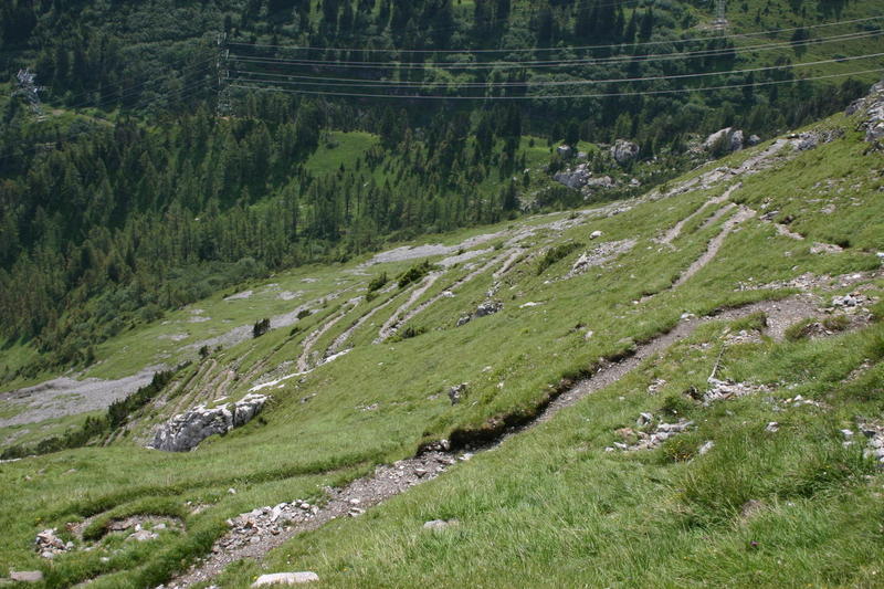 The zigzag path between Sunnbüel and the Gällihorn