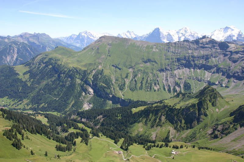 The Jungfrau range from the top of Morgenberghorn