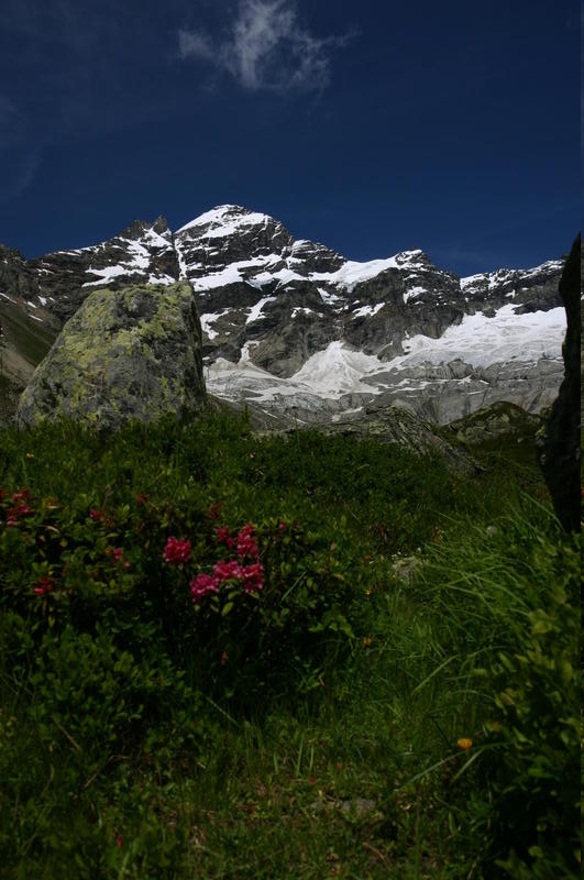 The view to the Lötschen glacier from around Anenhütte