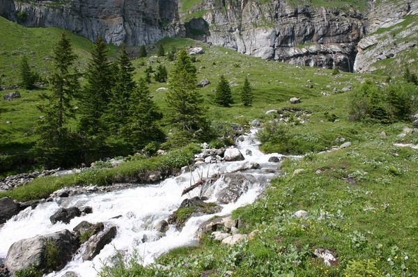 The stream below Ober Bärgli before the waterfall