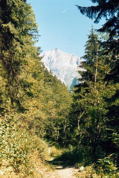 The path along Baldschiedertal