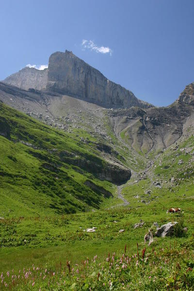 Looking up to Schwarzgrätli from Unterbach